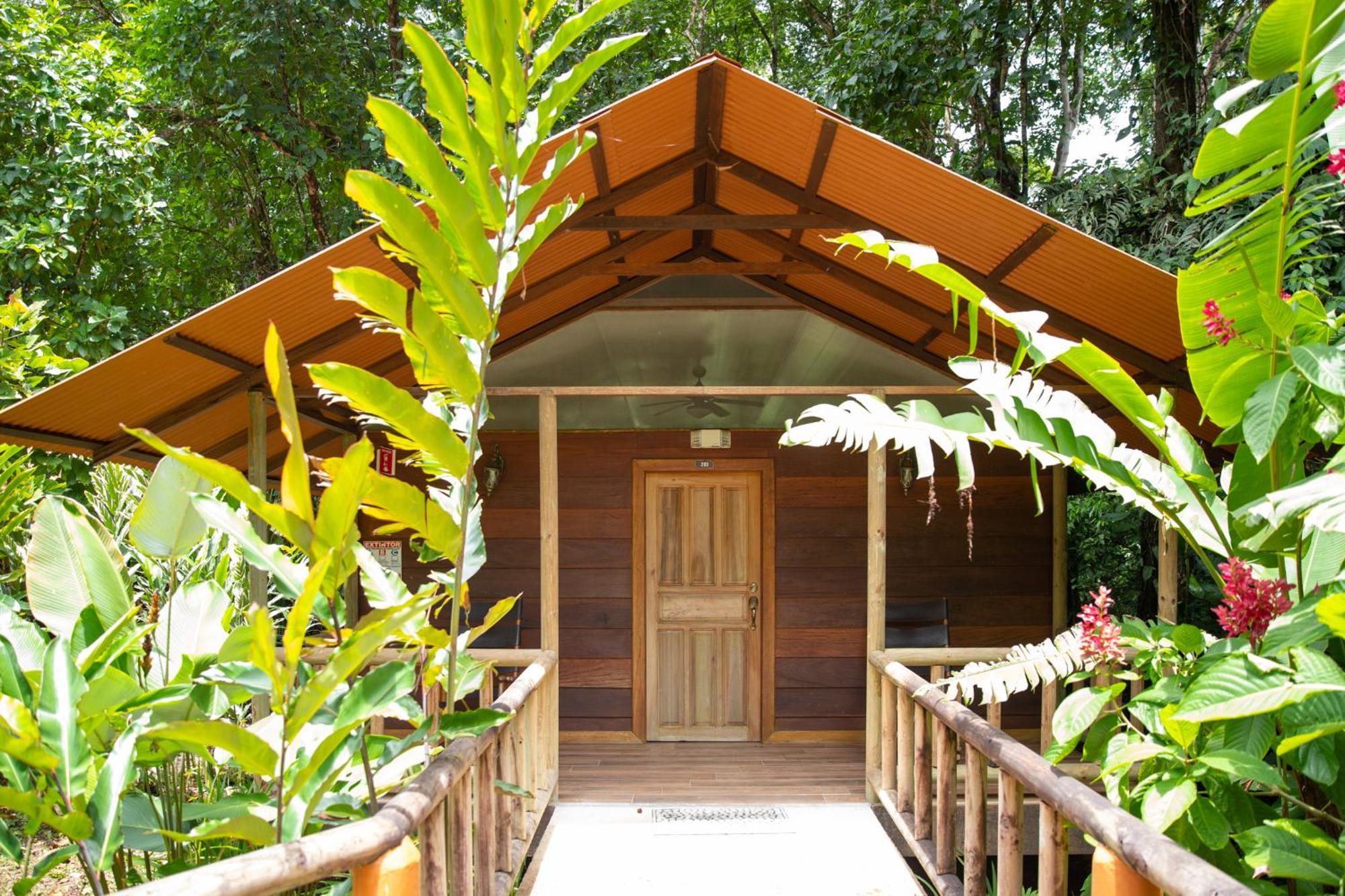 Pachira Lodge ตอร์ตูเกโร ภายนอก รูปภาพ