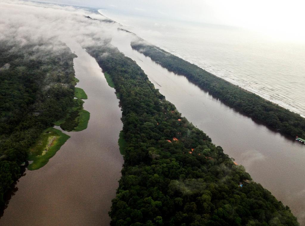 Pachira Lodge ตอร์ตูเกโร ภายนอก รูปภาพ