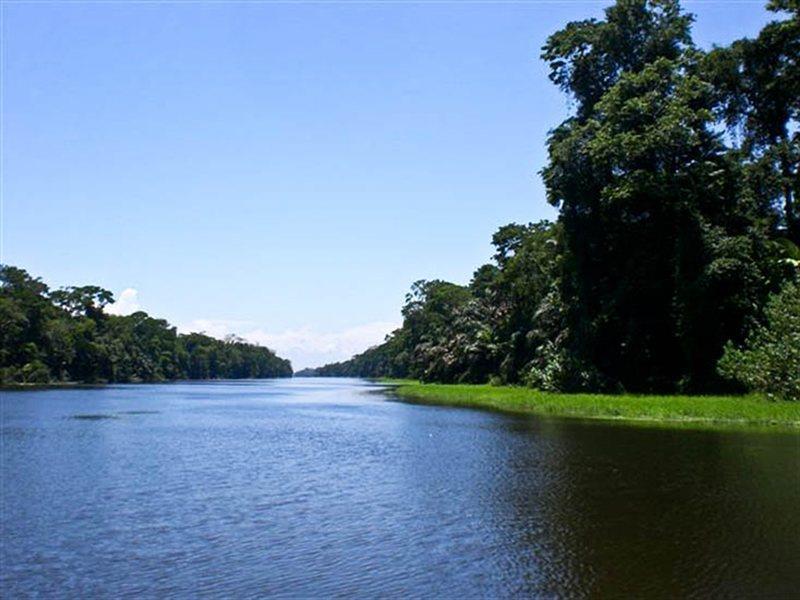 Pachira Lodge ตอร์ตูเกโร ภายนอก รูปภาพ