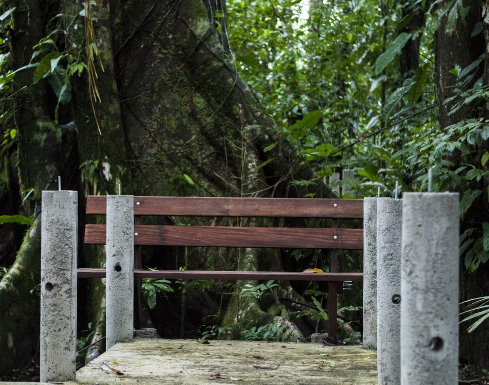 Pachira Lodge ตอร์ตูเกโร ภายนอก รูปภาพ