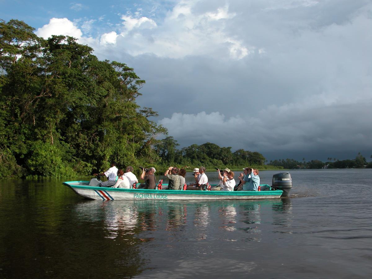 Pachira Lodge ตอร์ตูเกโร ภายนอก รูปภาพ