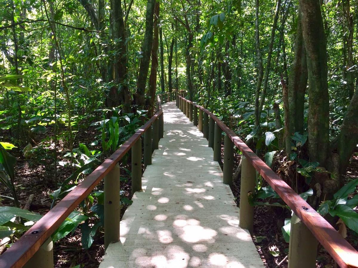 Pachira Lodge ตอร์ตูเกโร ภายนอก รูปภาพ