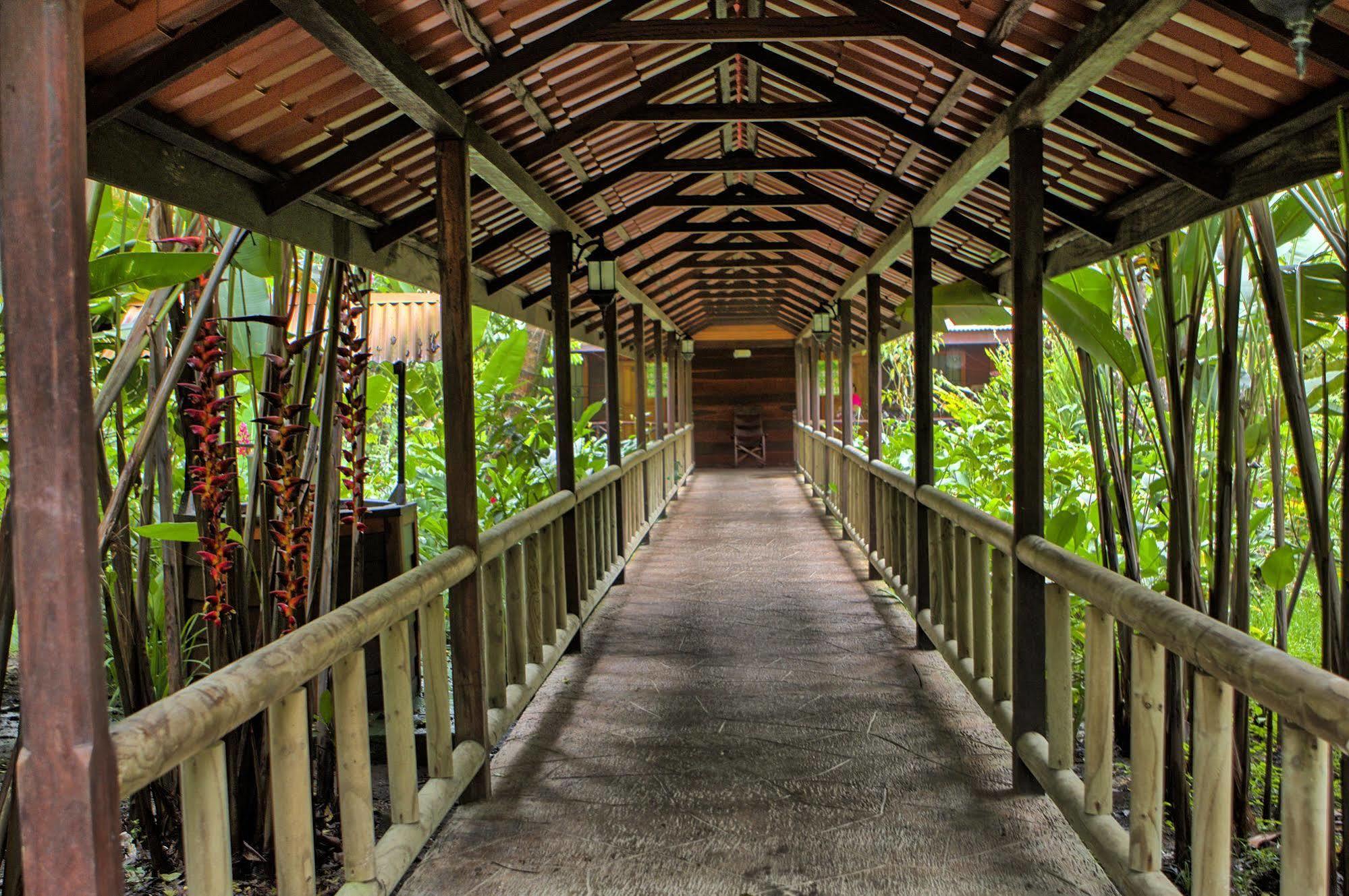 Pachira Lodge ตอร์ตูเกโร ภายนอก รูปภาพ